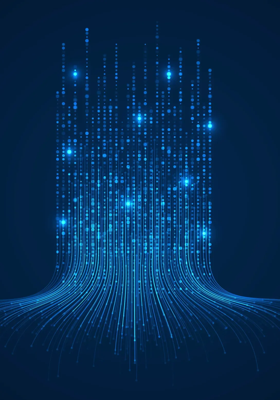 IT Leadership and Support