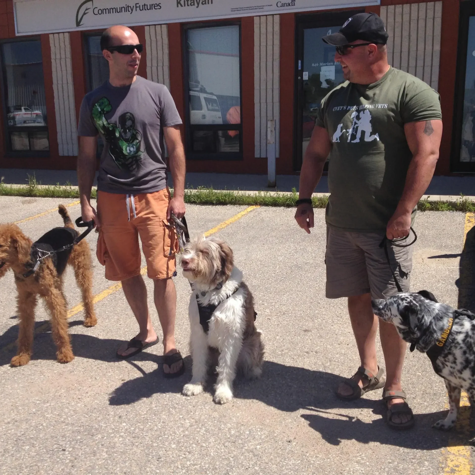 servicedogs2